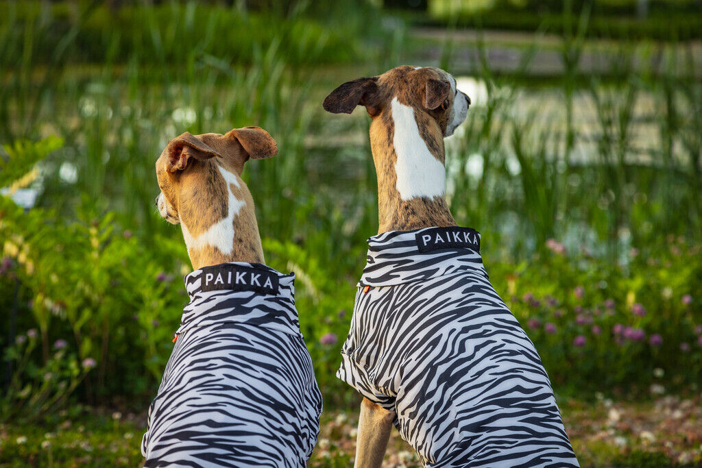 PAIKKA-Hundeshirt-Sonnenschutz-und-Antiparasit-UV-and-Bug-shirt-Schwarz-Weiss-Zeckenschutzweste-fuer-Hunde-60-20082 PAIKKA-Hundeshirt-Sonnenschutz-und-Antiparasit-UV-and-Bug-shirt-Schwarz-Weiss-Zeckenschutzweste-fuer-Hunde-60-20082