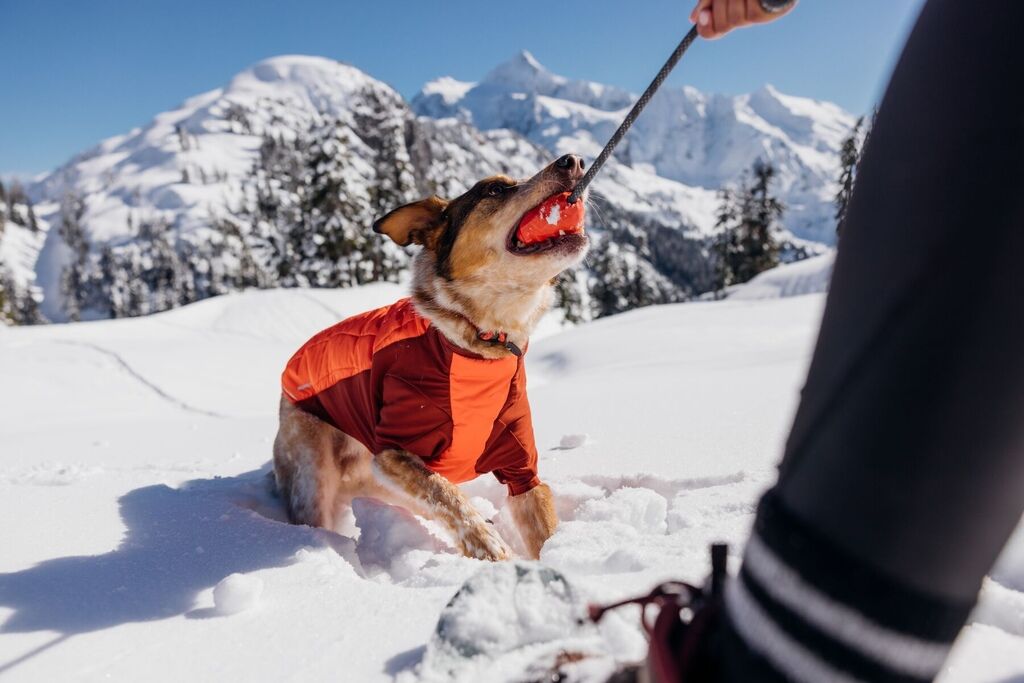 RUFFWEAR-Wurfspielzeug-mit-Seil-Huck-a-Cone-Hundespielzeug-aus-Gummi-Red-Sumac-RU-25105