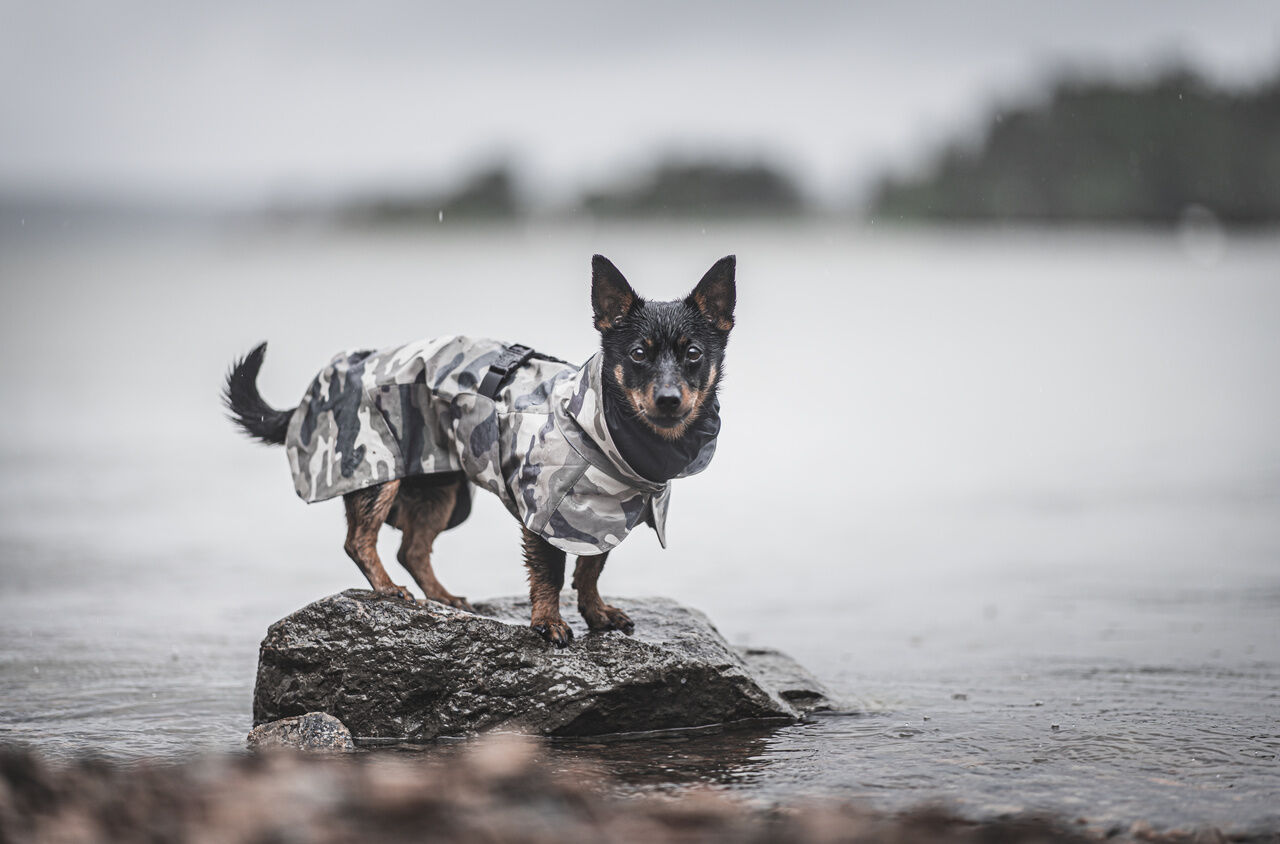 PAIKKA-Regenmantel-waermend-Recovery-Raincoat-Camo-Hunde-Regenjacke-reflektierend-60-46296