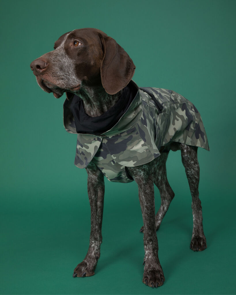 PAIKKA-Regenmantel-waermend-Recovery-Raincoat-Camo-reflektierende-Regenjacke-fuer-Hunde-60-46296