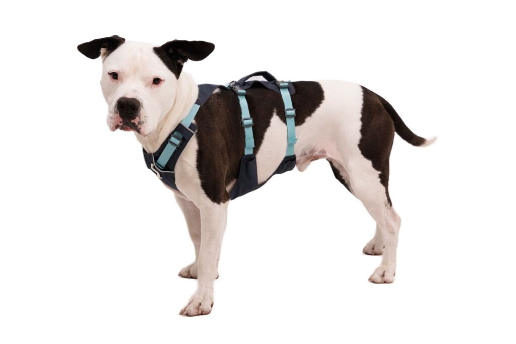 RUFFWEAR-Sicherheitsgeschirr-Flagline-Harness-Geschirr-Canicross-Hunde-Basalt-Gray-RU-04298