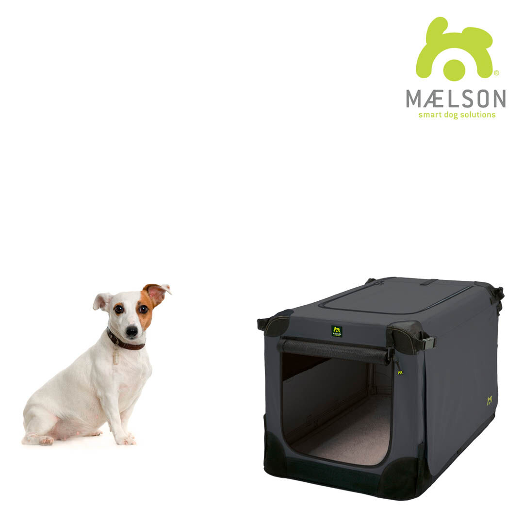 Maelson-soft-kennel-62-antrazith-31-04123