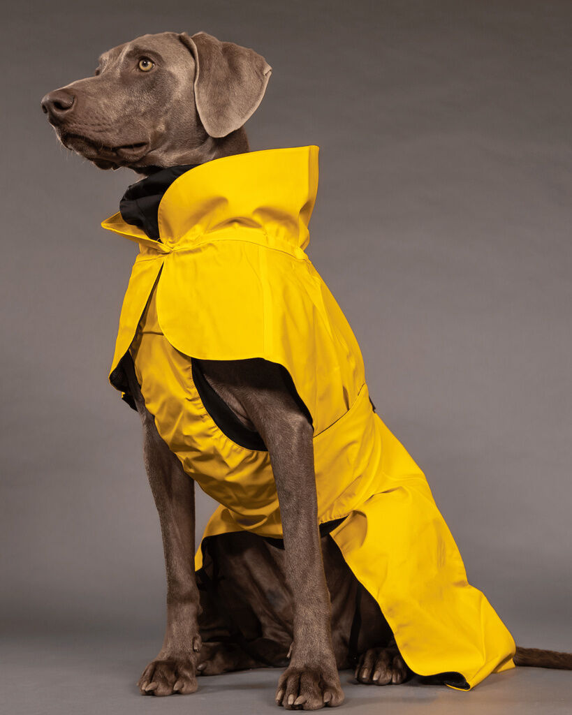 PAIKKA-Regenmantel-leicht-und-reflektierend-Visibility-Raincoat-Lite-Gelb-Hunde-Regenmantel-reflektierend-60-46242