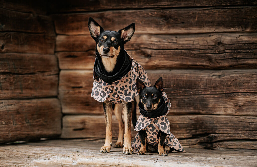 PAIKKA-Regenmantel-leicht-und-reflektierend-Visibility-Raincoat-Lite-Leo-wasserabweisende-Regenjacke-fuer-Hunde-60-46242