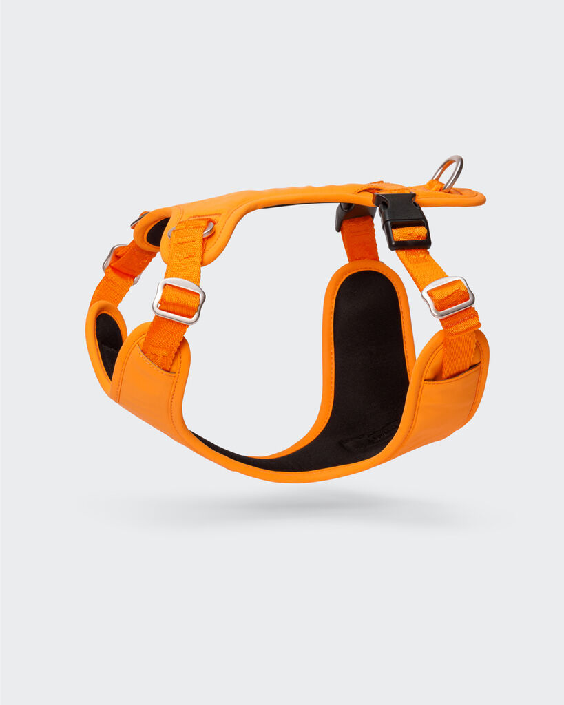 PAIKKA-Hundegeschirr-reflektierend-Visibility-Harness-orange-gepolstertes-Geschirr-fuer-Hunde-60-46397 PAIKKA-Hundegeschirr-reflektierend-Visibility-Harness-orange-gepolstertes-Geschirr-fuer-Hunde-60-46397