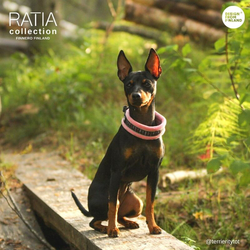 FinNero-RATIA-Zugstopp-Hunde-Halsband-Fleece-pink-farbenfroh-elegant-44-79694