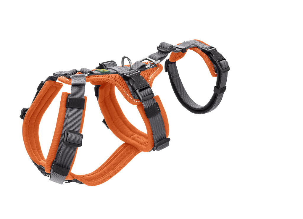 Hunter-Sicherheitsgeschirr-Maldon-orange-grau-Panikgeschirr-fuer-Hunde-H-69649