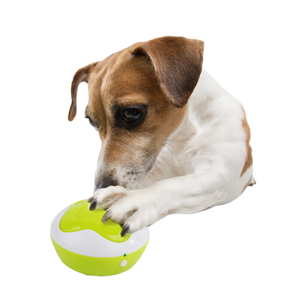 Animal-Care-AFP-Interactives-Puppy-Trainings-Buttons-Dogtalk-28-03192 Animal-Care-AFP-Interactives-Puppy-Trainings-Buttons-Dogtalk-28-03192