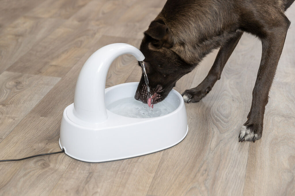 Trixie-Trinkbrunnen-Curved-Stream-Hund-besseres-Trinkwasser-24-24444