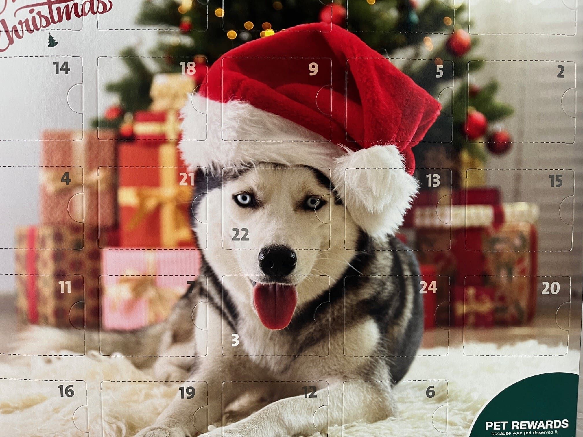 PERRO-Adventskalender-fuer-Hunde-Weihnachten-XMAS-gruen-28-88400