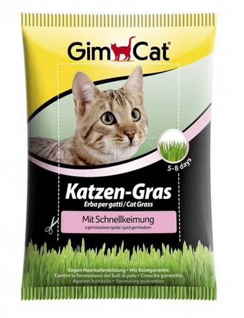 Gimpet-GimCat-Katzen-Gras-mit-Schnellkeimung-Gras-Snack-fuer-Katzen-34-407289