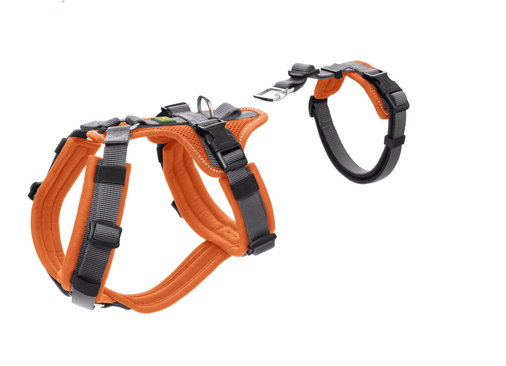 Hunter-Sicherheitsgeschirr-Maldon-orange-grau-Hundegeschirr-Sicherheit-H-69649 Hunter-Sicherheitsgeschirr-Maldon-orange-grau-Hundegeschirr-Sicherheit-H-69649