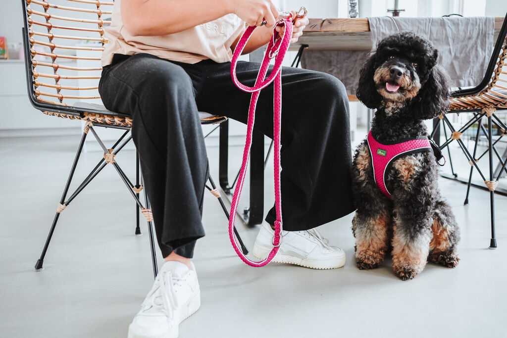 Hunter-Geschirr-Hilo-Comfort-Mesh-mit-Reflektorstreifen-pink-Brustgeschirr-fuer-Hunde-H-66661 Hunter-Geschirr-Hilo-Comfort-Mesh-mit-Reflektorstreifen-pink-Brustgeschirr-fuer-Hunde-H-66661
