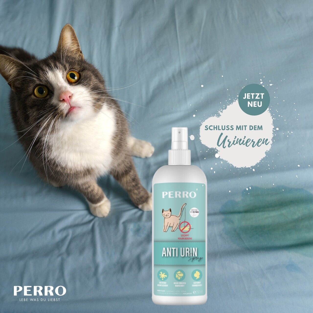 PERRO-Anti-Urin-Spray-Katze-Pipispray-Stubenreinheit-14224