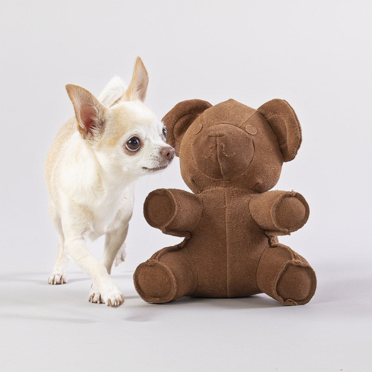 PAIKKA-Hundespielzeug-Teddy-Toy-Fuellung-aus-recycelten-Plastikflaschen-60-46382