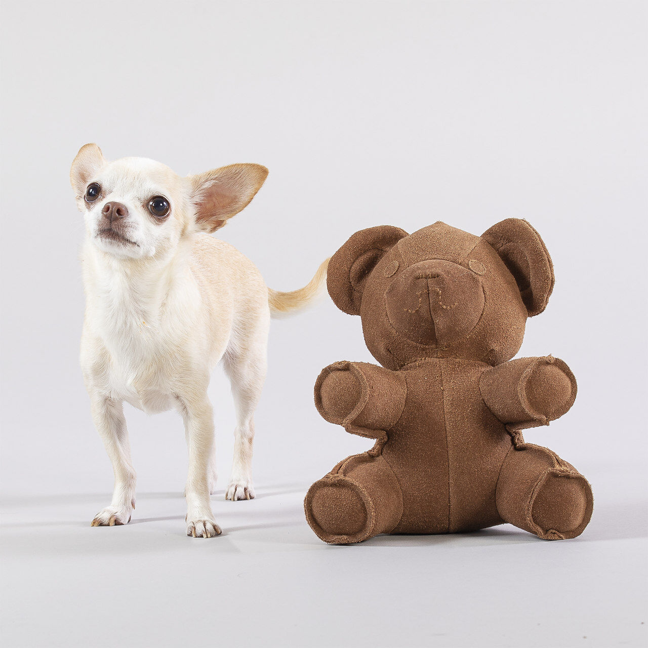 PAIKKA-Hundespielzeug-Teddy-Toy-Hunde-Spielzeug-aus-Wildleder-60-46382