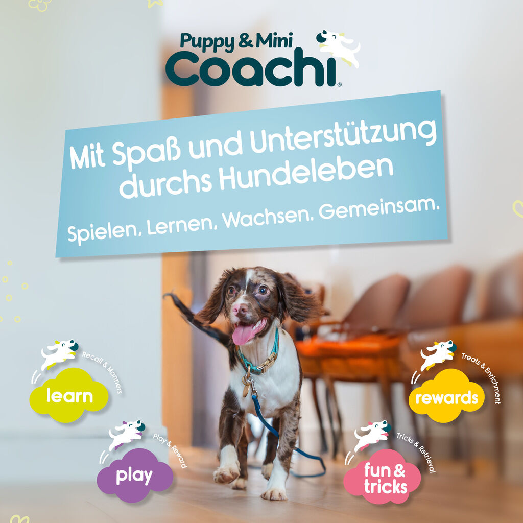 Company-of-Animals-Coachie-Schleppleine-Welpe-Suchleine-50-41231