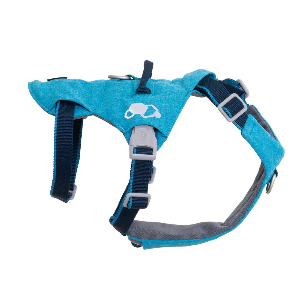 Hurtta-Sicherheitsgeschirr-Safeguard-Harness-ECO-Ozean-Trainingsgeschirr-fuer-Hunde-HU-934703 Hurtta-Sicherheitsgeschirr-Safeguard-Harness-ECO-Ozean-Trainingsgeschirr-fuer-Hunde-HU-934703