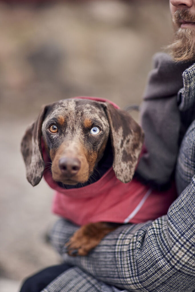 Hurtta-Expedition-Parker-II-strawberry-wetterfester-Hundemantel-HU-934780 Hurtta-Expedition-Parker-II-strawberry-wetterfester-Hundemantel-HU-934780