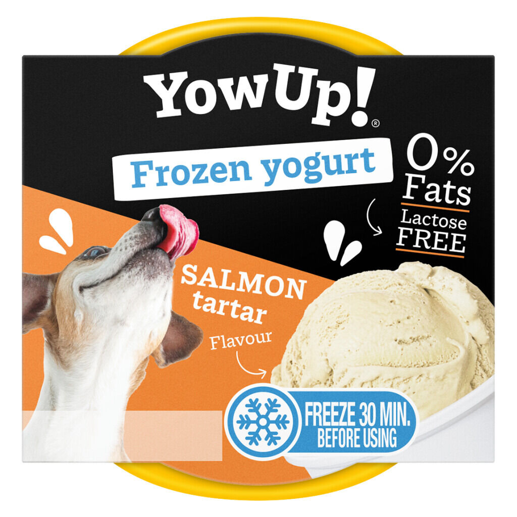 Animal-Care-YowUp-Frozen-Yoghurt-Lachs-Tartar-Hund-Eis-laktosefrei-28-76143