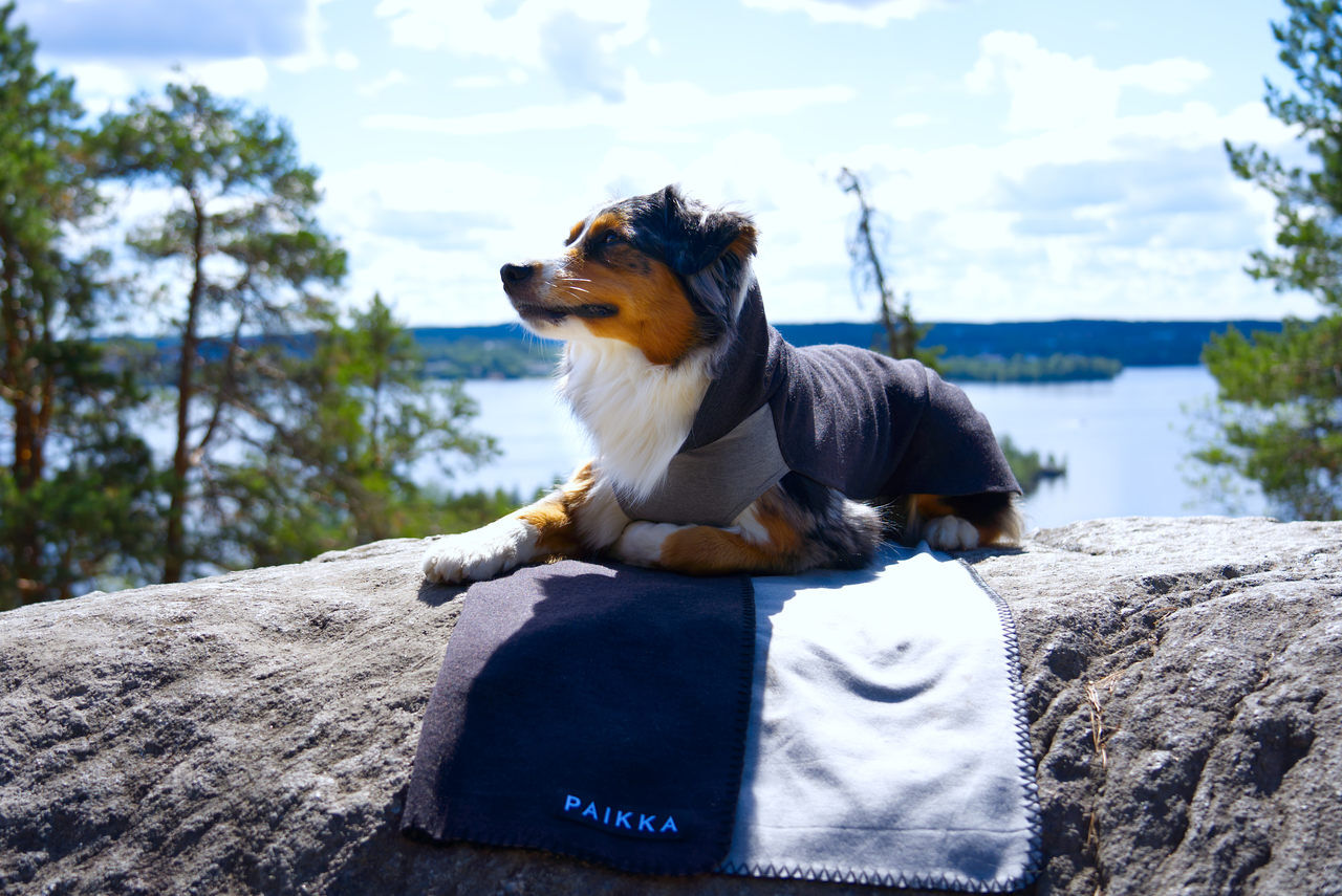 PAIKKA-Recovery-Winter-Shirt-Winter-Hundepullover-60-46165