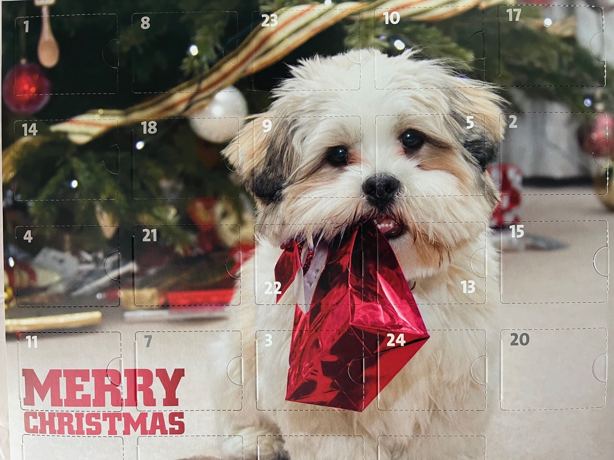 PERRO-Adventskalender-fuer-Hunde-Weihnachtszeit-rot-XMAS-rot-28-88400