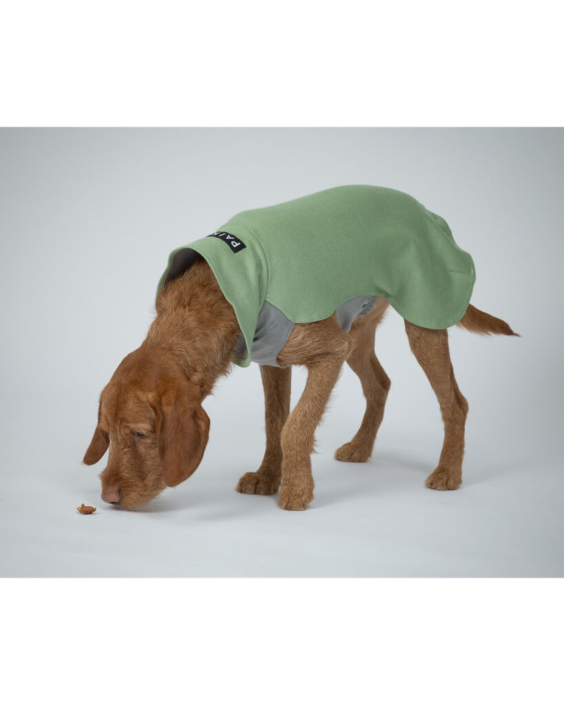 PAIKKA-Hundepullover-waermend-Recovery-Winter-Shirt-Gruen-Hundebekleidung-Kaelteschutz-60-46165