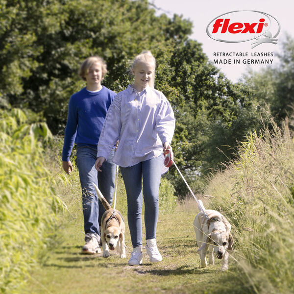 Flexi-New-Comfort-Gurt-leine-kleine-Hunde-24-213301