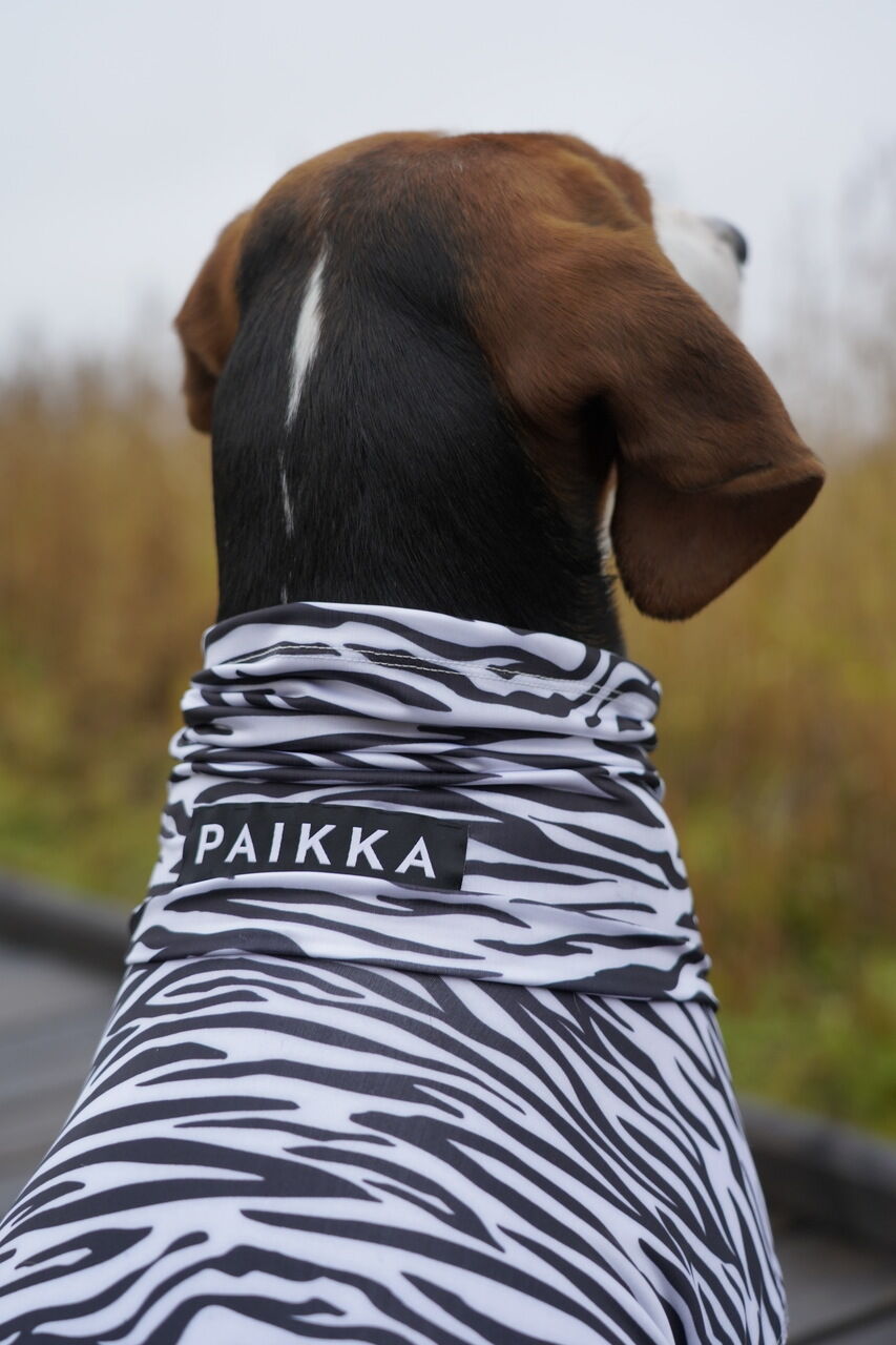 PAIKKA-Hundeshirt-Sonnenschutz-und-Antiparasit-UV-und-Bug-Shirt-Repeltec-Insektenschutz-Weste-fuer-Hunde-60-46115