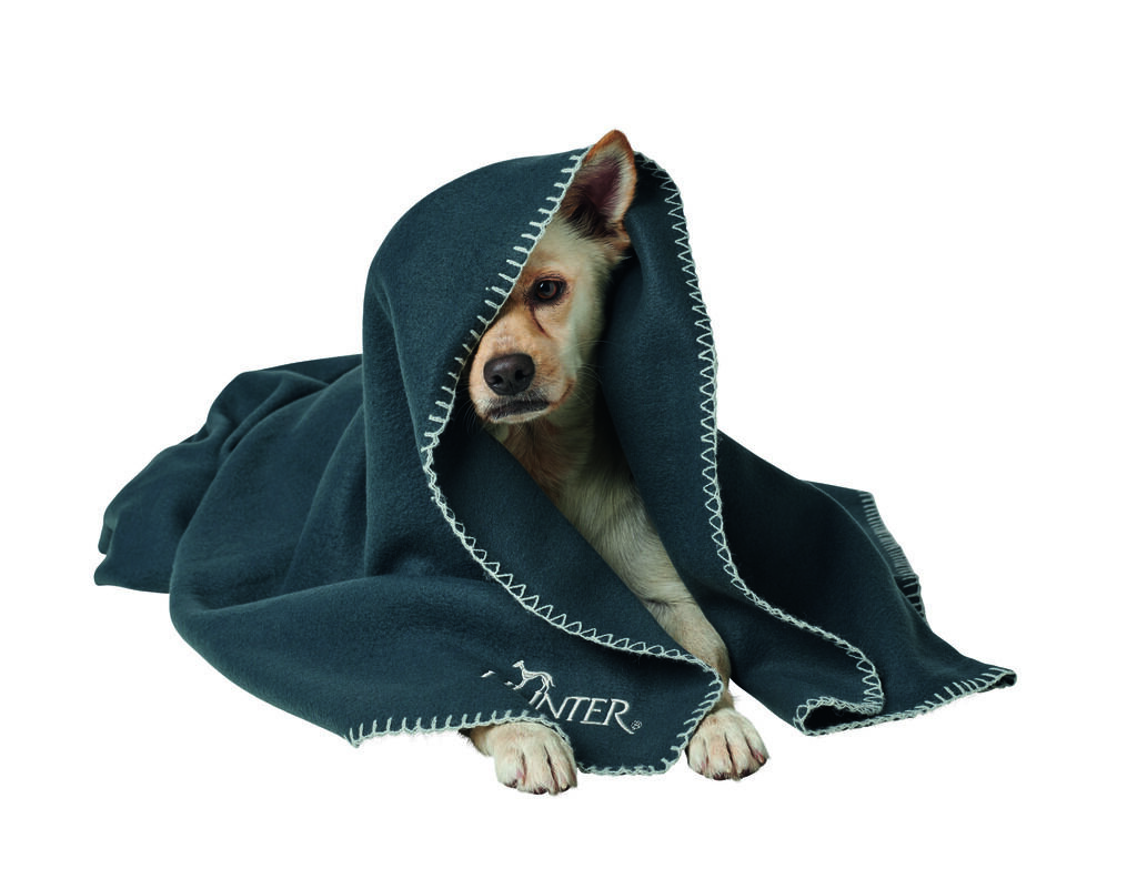 Hunter-Hundedecke-Casper-anthrazit-Hunde-Autodecke-kuschelig-H-67705 Hunter-Hundedecke-Casper-anthrazit-Hunde-Autodecke-kuschelig-H-67705