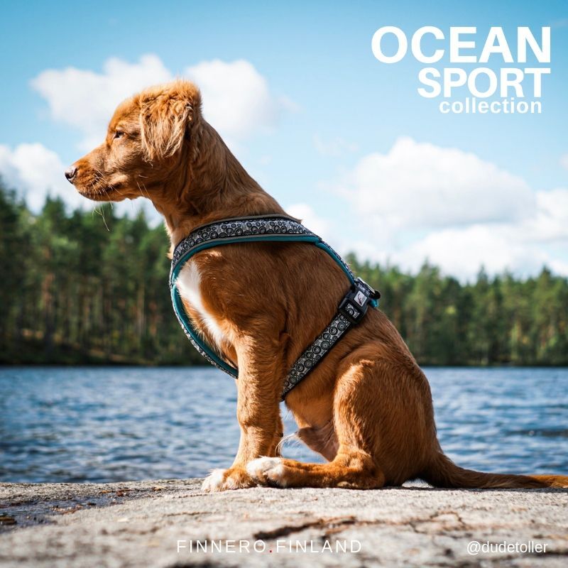 FinNero-OCEAN-SPORT-Y-Sport-Hunde-Geschirr-Outdoor-wandern-44-00185
