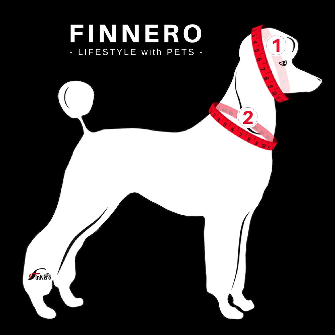 FinNero-OCEAN-SPORT-Zugstopp-Hundehalsband-Neoprenpolsterung-44-00096