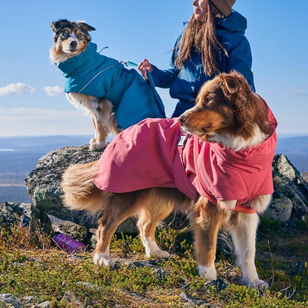 Hurtta-Expedition-Parker-II-strawberry-Hunde-Regenmantel-HU-934780 Hurtta-Expedition-Parker-II-strawberry-Hunde-Regenmantel-HU-934780
