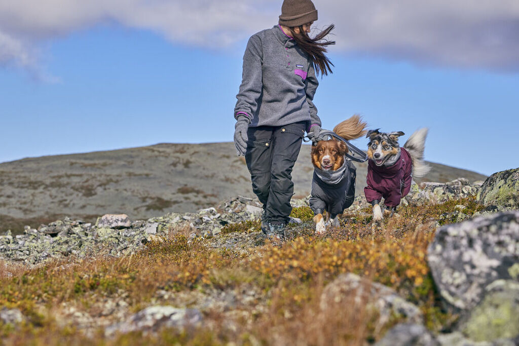 Hurtta-Extreme-Overall-fuer-Hunde-HU-933840
