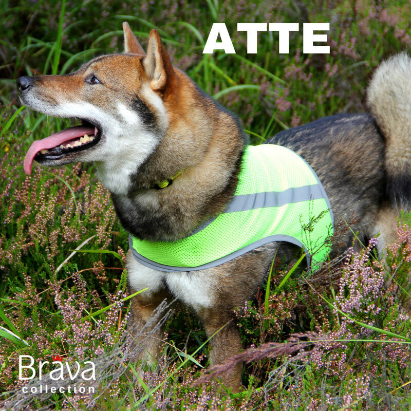 FinNero-ATTE-Hunde-Sicherheitsweste-aus-Mesh-Hunde-Sicherheitsjacke-verstellbar-44-00885