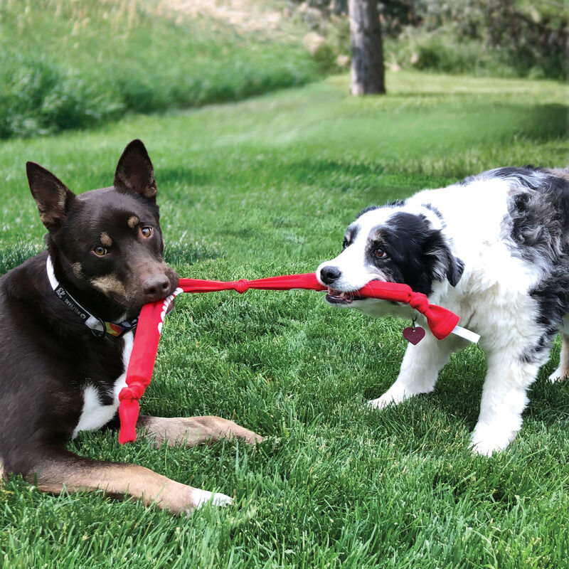 KONG-Hundespielzeug-Signature-Crunch-Rope-Knisterspielzeug-fuer-Hunde-56-50324 KONG-Hundespielzeug-Signature-Crunch-Rope-Knisterspielzeug-fuer-Hunde-56-50324