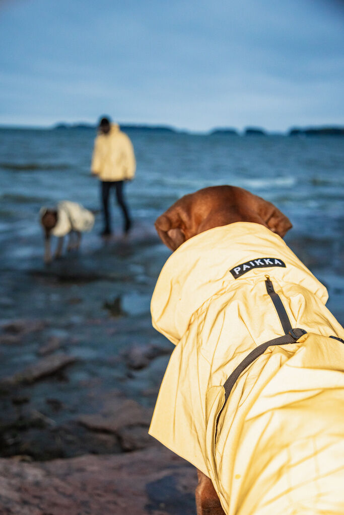 PAIKKA-Regenmantel-leicht-und-reflektierend-Visibility-Raincoat-Lite-Gelb-reflektierender-Hunderegenmantel-60-46242