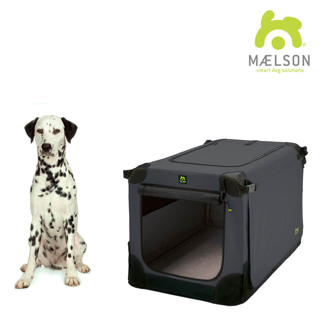 Maelson-soft-kennel-82-antrazith-31-04123