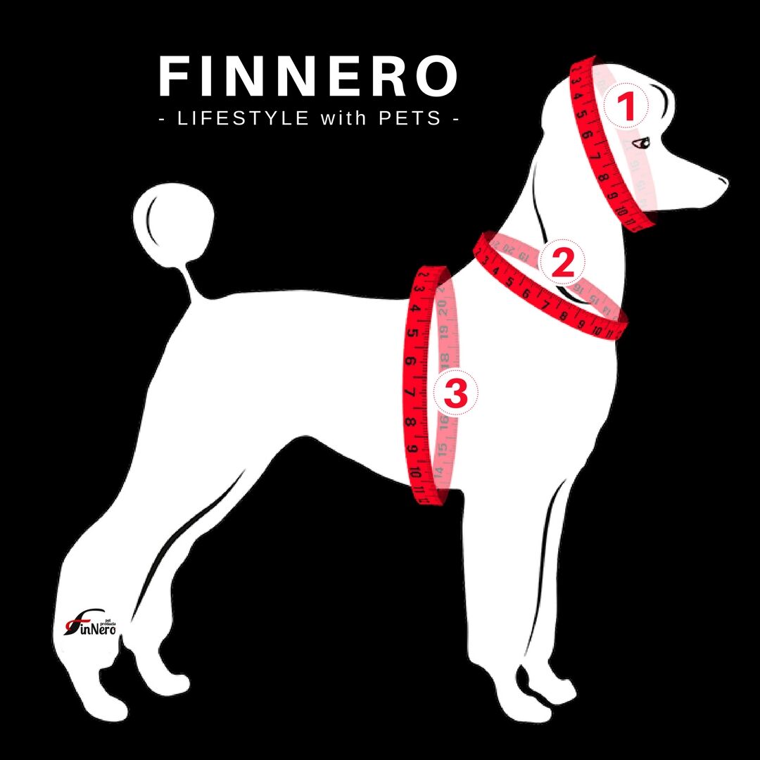 FinNero-OCEAN-SPORT-Y-Sport-Hunde-Geschirr-fuer-aktive-Hunde-44-00185