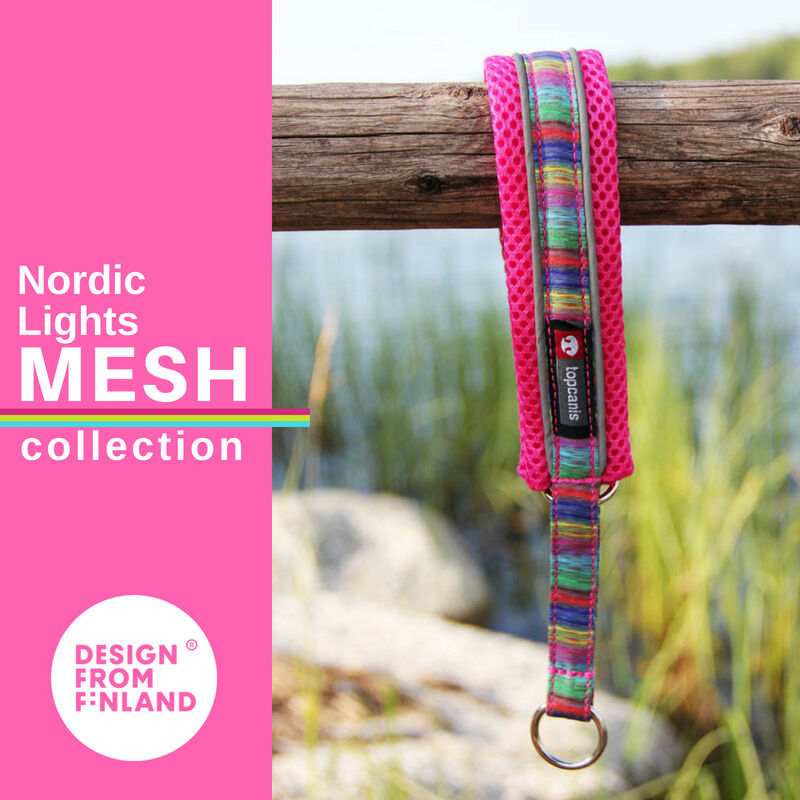 finnero-nordic-light-Hundehalsband-Martigalehalsband-gut-sichtbar-44-77456