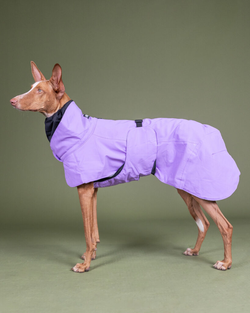 PAIKKA-Visibility-Winter-Jacke-Lila-Hunde-Winterjacke-mit-Bauchschutz-60-46199 PAIKKA-Visibility-Winter-Jacke-Lila-Hunde-Winterjacke-mit-Bauchschutz-60-46199