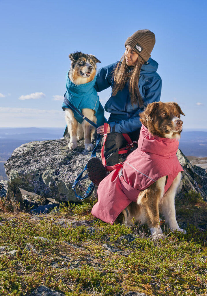 Hurtta-Expedition-Parker-II-strawberry-Hund-Jacke-Schutz-Wetter-HU-934780 Hurtta-Expedition-Parker-II-strawberry-Hund-Jacke-Schutz-Wetter-HU-934780