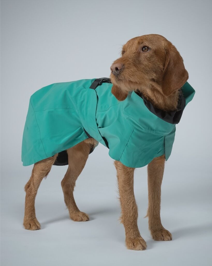 PAIKKA-Regenmantel-reflektierend-Visibility-Raincoat-Emerald-wasserfester-Mantel-fuer-Hunde-60-46367