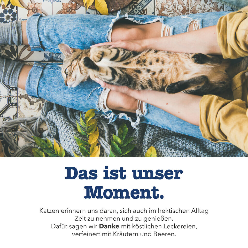 Gimpet-GimCat-Soft-Snacks-Ente-Blaubeere-Katzenleckerlie-getreidefrei-34-420707 Gimpet-GimCat-Soft-Snacks-Ente-Blaubeere-Katzenleckerlie-getreidefrei-34-420707