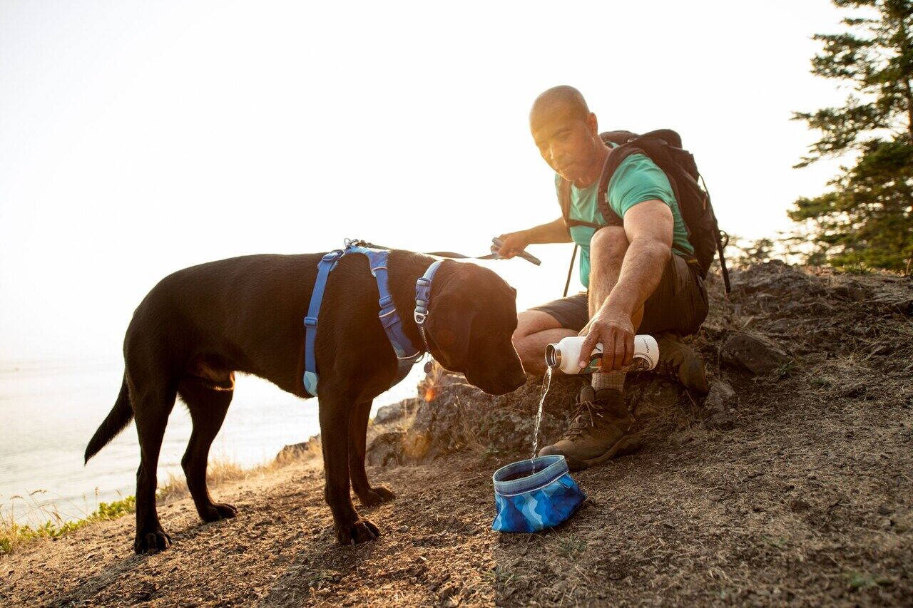 RUFFWEAR-Hundegeschirr-Front-Range-Harness-Coastal-Mountains-Hundegeschirr-zum-Joggen-RU-05288