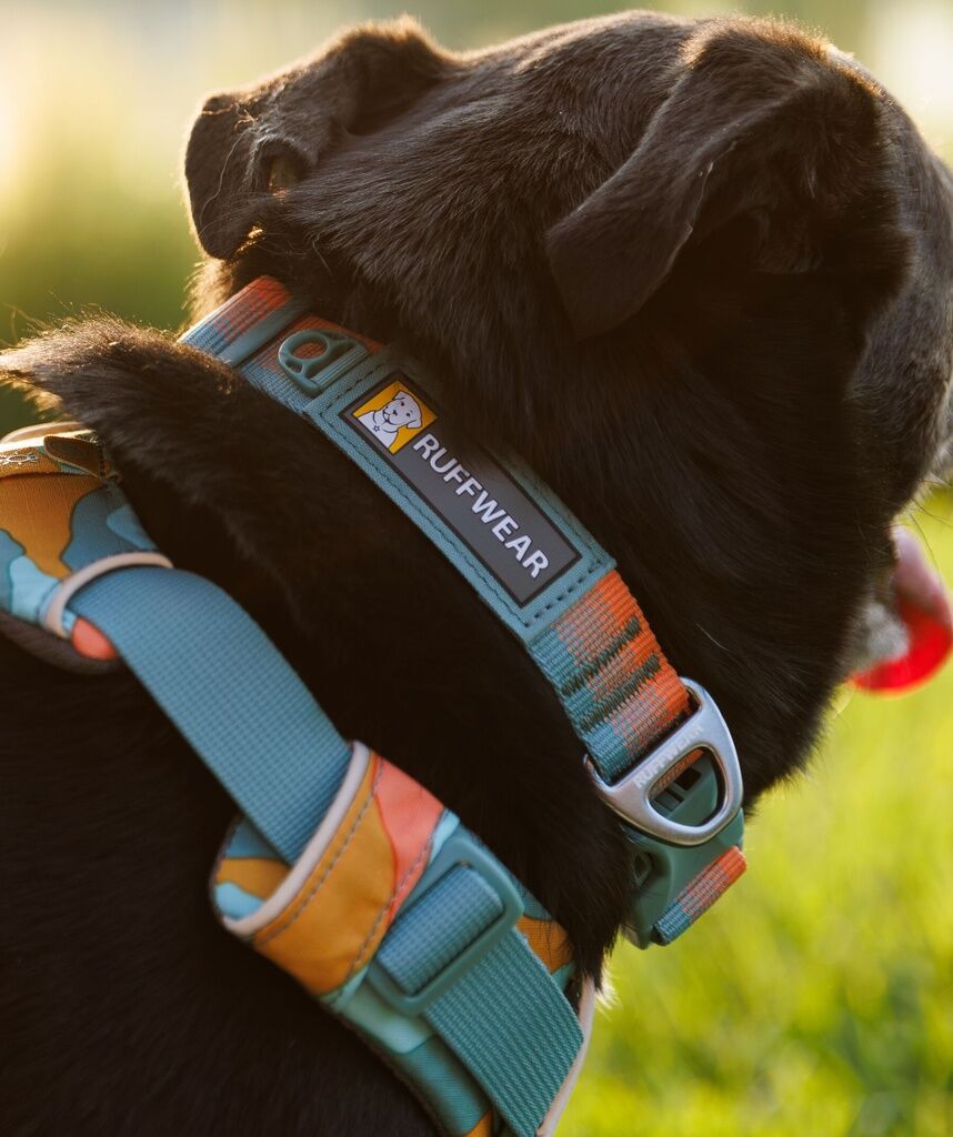 RUFFWEAR-Halsband-Fastex-Front-Range-Collar-Nylon-Leine-fuer-Hunde-Spring-Fade-RU-00179