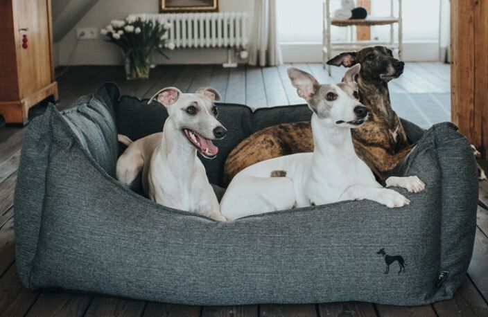 Hunter-Hundesofa-Livingston-hundplatz-schlafen-kaufen-anthrazit-H-60857 Hunter-Hundesofa-Livingston-hundplatz-schlafen-kaufen-anthrazit-H-60857