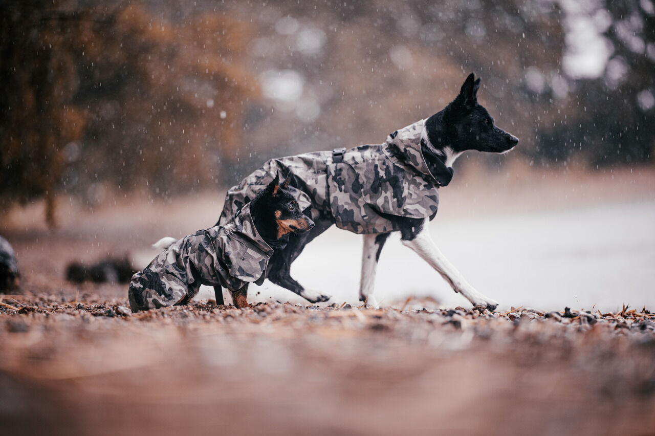 PAIKKA-Regenmantel-waermend-Recovery-Raincoat-Camo-Hundemantel-gute-Sichtbarkeit-bei-Nacht-durch-Reflektoren-60-46296