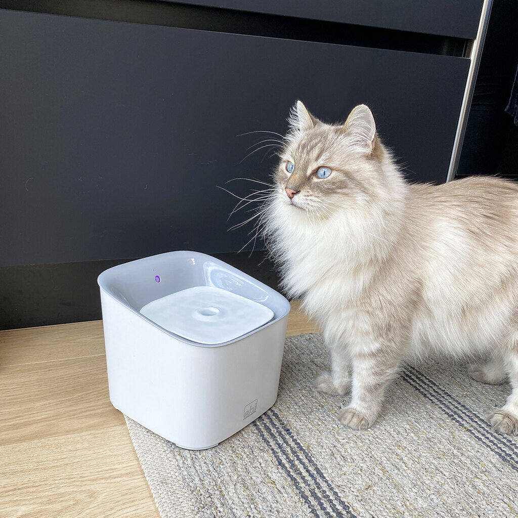 Laroy-Group-Springbrunnen-Manoa-weiss-Wasserfilter-Hunde-Katzen-74-47414 Laroy-Group-Springbrunnen-Manoa-weiss-Wasserfilter-Hunde-Katzen-74-47414
