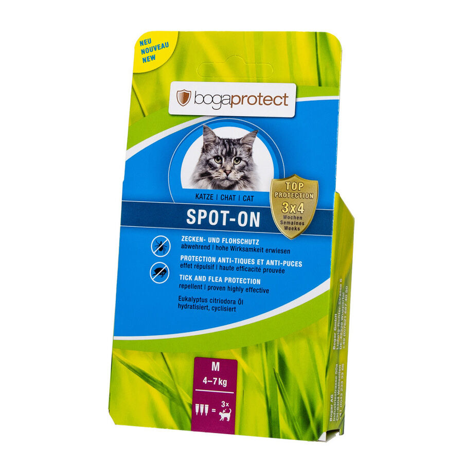 BG-parasitenschutz-spot-on-aetherische-oele-katze-medium-BG-83919